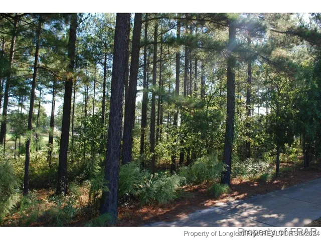 a view of outdoor space and green space