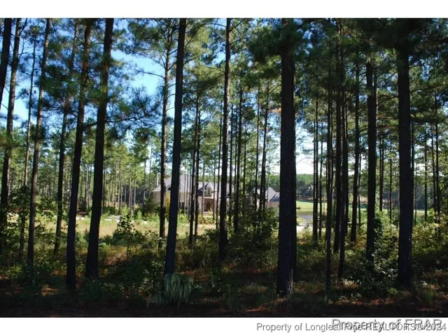 a view of outdoor space and swimming pool