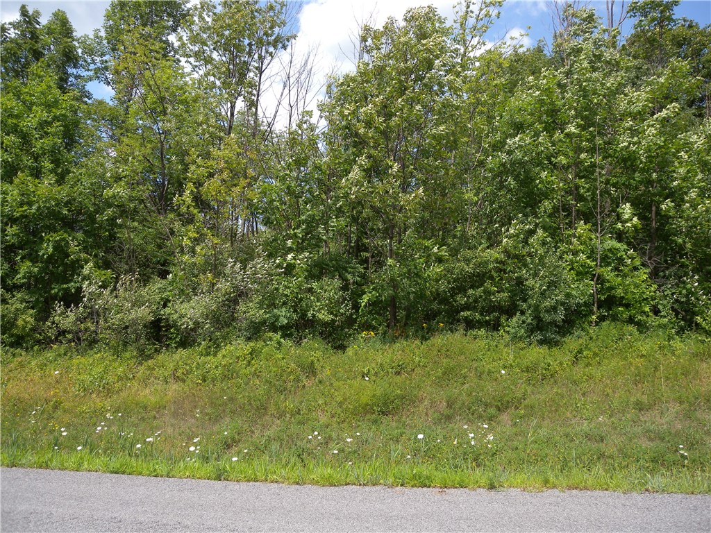 0 Big Tree Road Hemlock, NY 14466 - Photo 1 of 1 This is the road frontage lot located in Livonia.