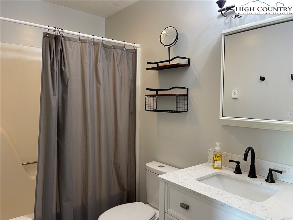 219 Lucky Alice Road Grassy Creek, NC 28631 - Photo 19 of 40 a bathroom with a sink a toilet and shower