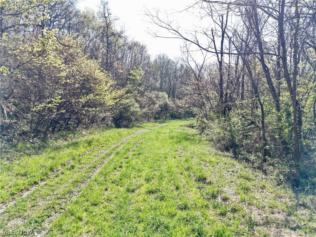 0 Harrons Ridge Road Dexter City, OH 45727 - Photo 12 of 29