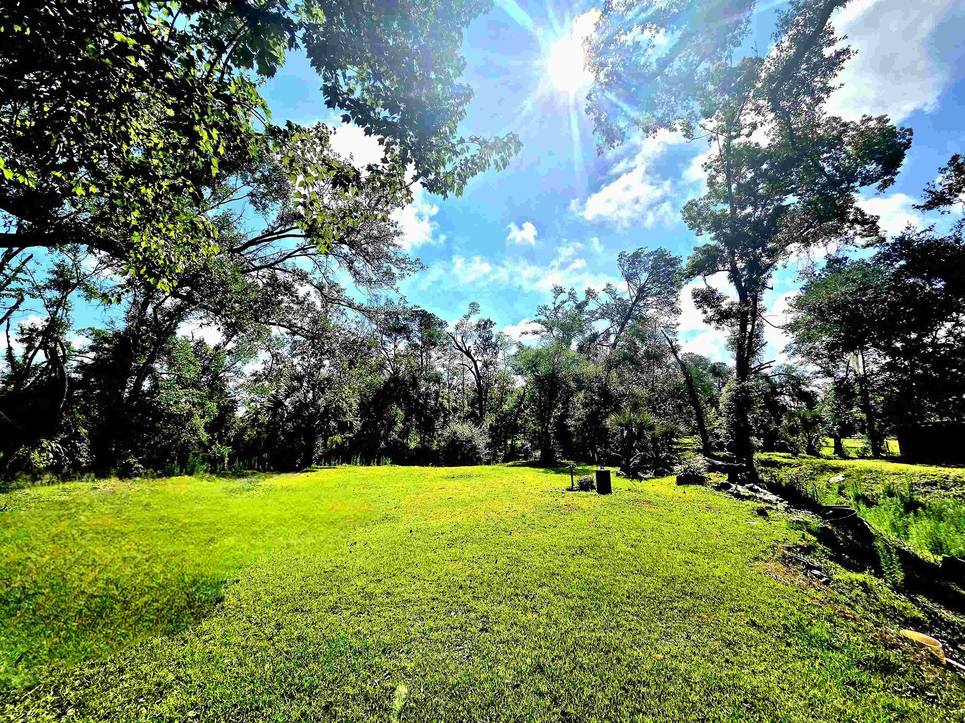 585 Mangum-Close Road Perry, FL 32347 - Photo 20 of 56