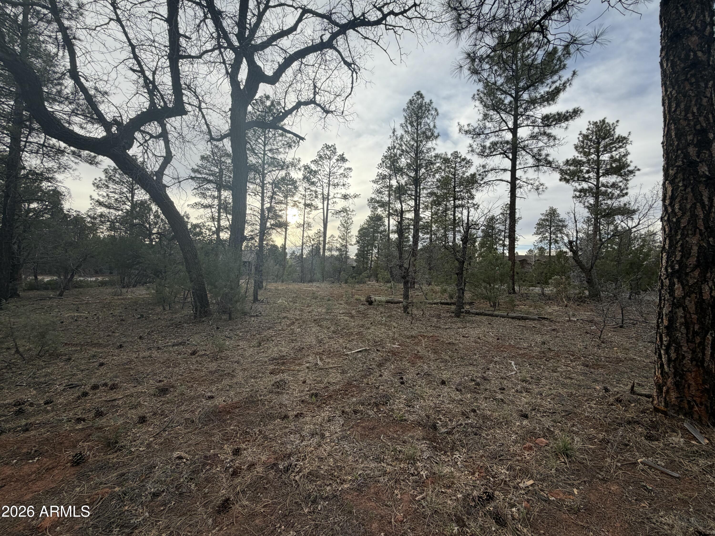 5961 Starlight Ridge Road, Unit 10 Lakeside, AZ 85929 - Photo 11 of 16 Starlight Ridge Lot