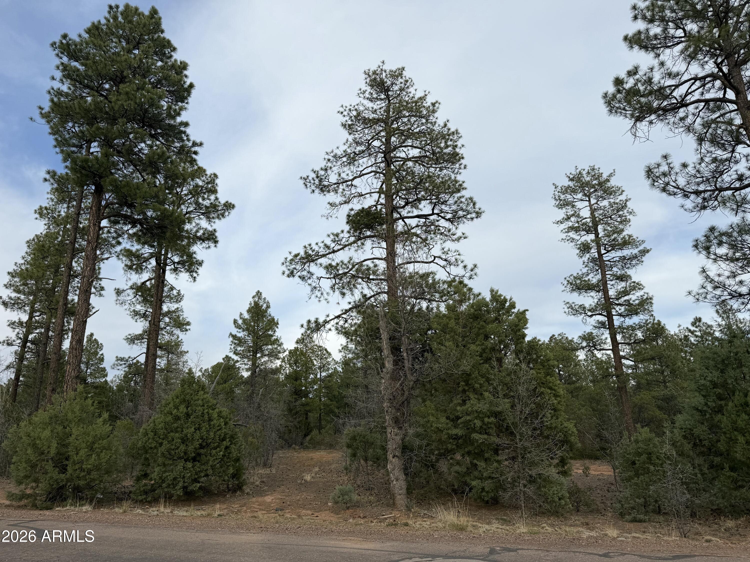 5961 Starlight Ridge Road, Unit 10 Lakeside, AZ 85929 - Photo 12 of 16 Starlight Ridge Lot