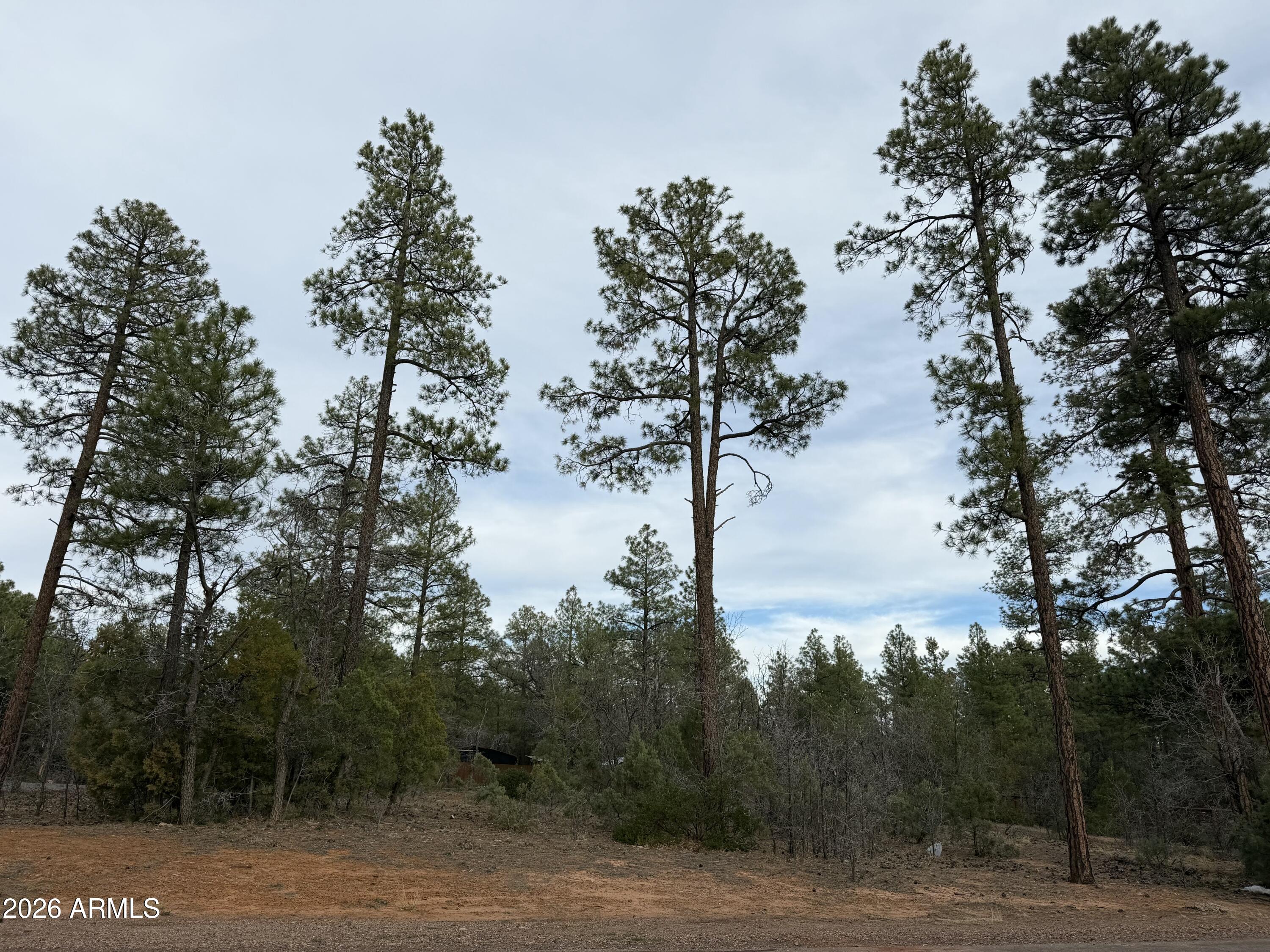 5961 Starlight Ridge Road, Unit 10 Lakeside, AZ 85929 - Photo 14 of 16 Starlight Ridge Lot