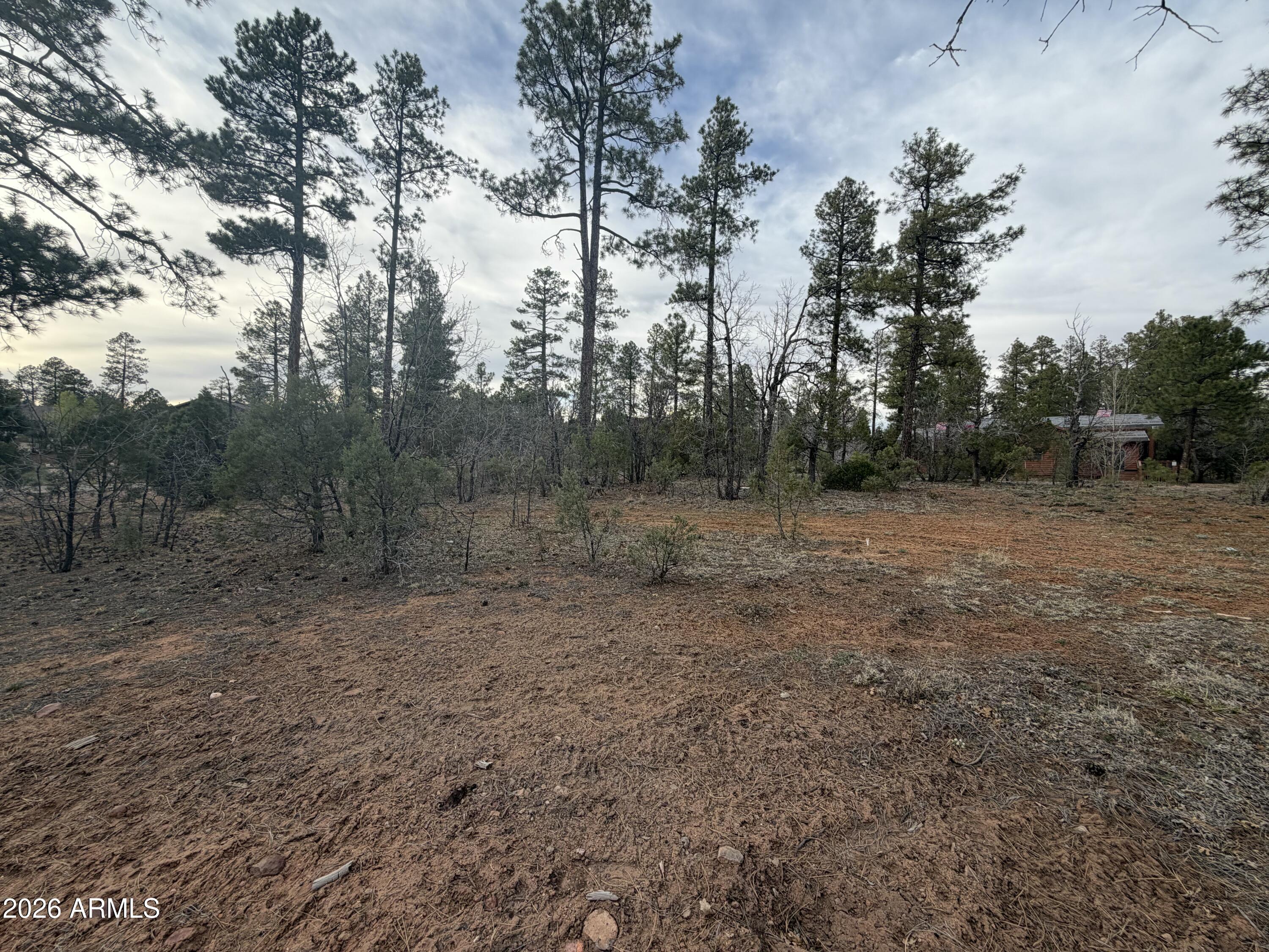 5961 Starlight Ridge Road, Unit 10 Lakeside, AZ 85929 - Photo 2 of 16 Starlight Ridge Lot