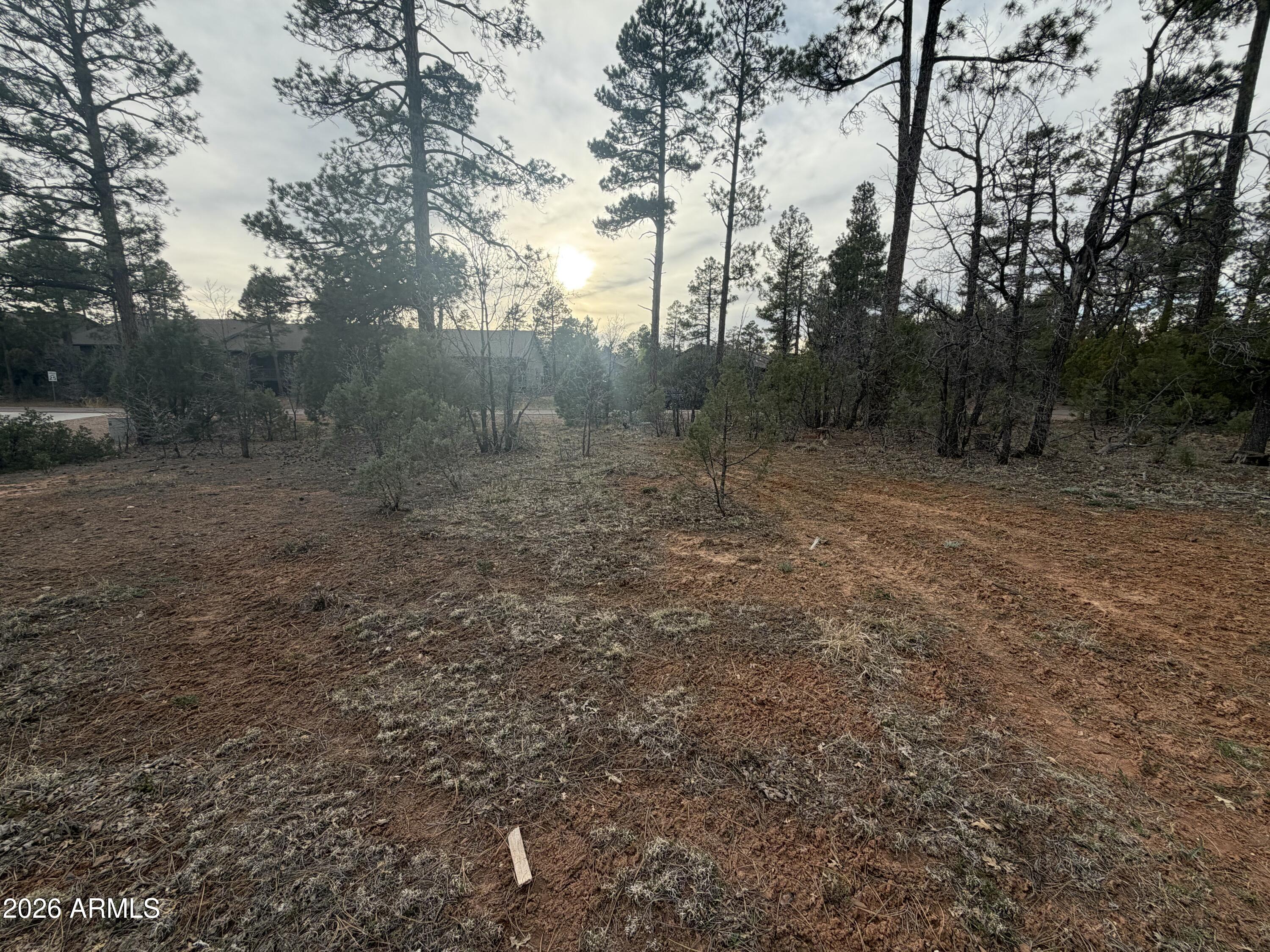 5961 Starlight Ridge Road, Unit 10 Lakeside, AZ 85929 - Photo 5 of 16 Starlight Ridge Lot