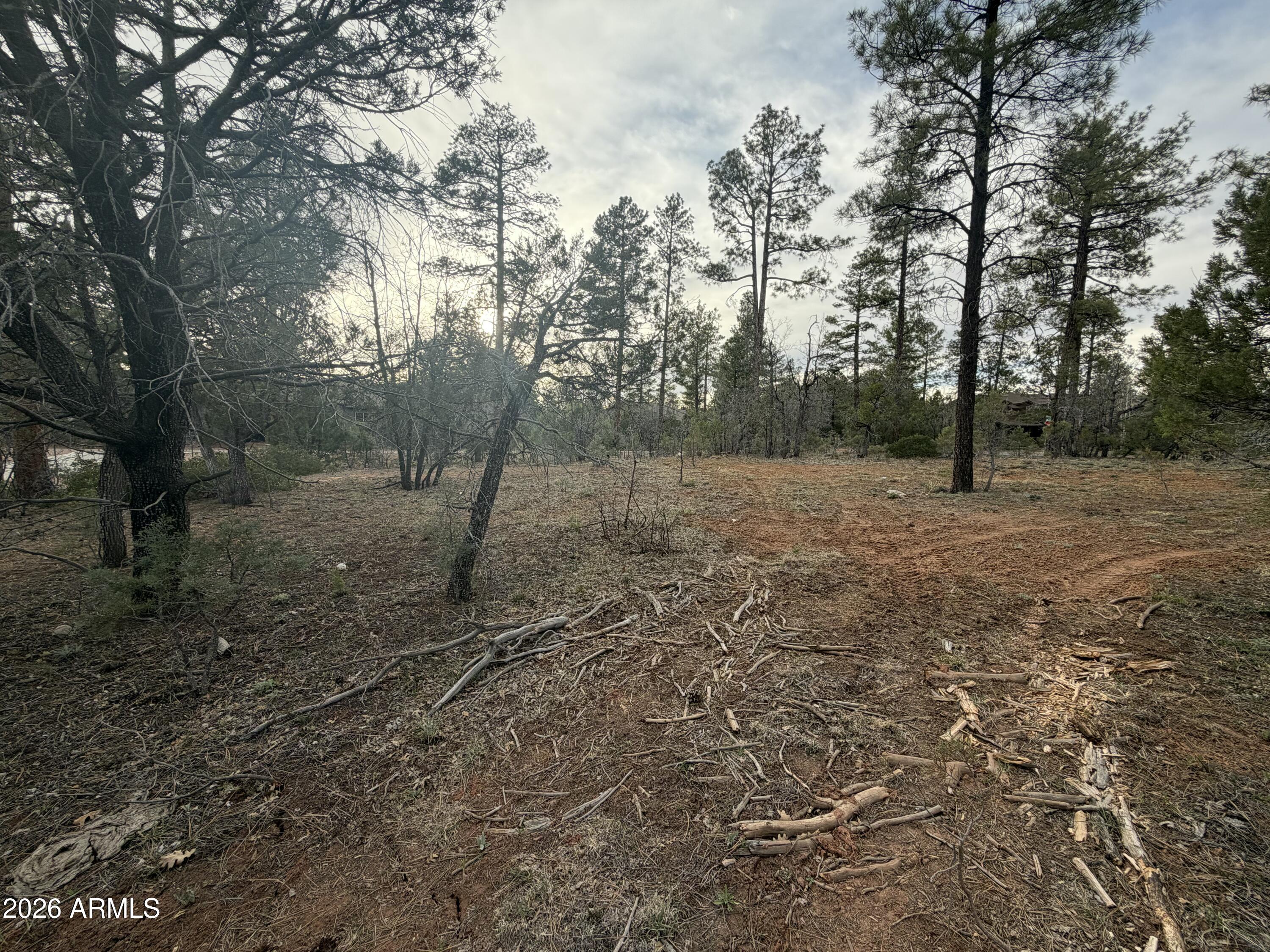 5961 Starlight Ridge Road, Unit 10 Lakeside, AZ 85929 - Photo 6 of 16 Starlight Ridge Lot