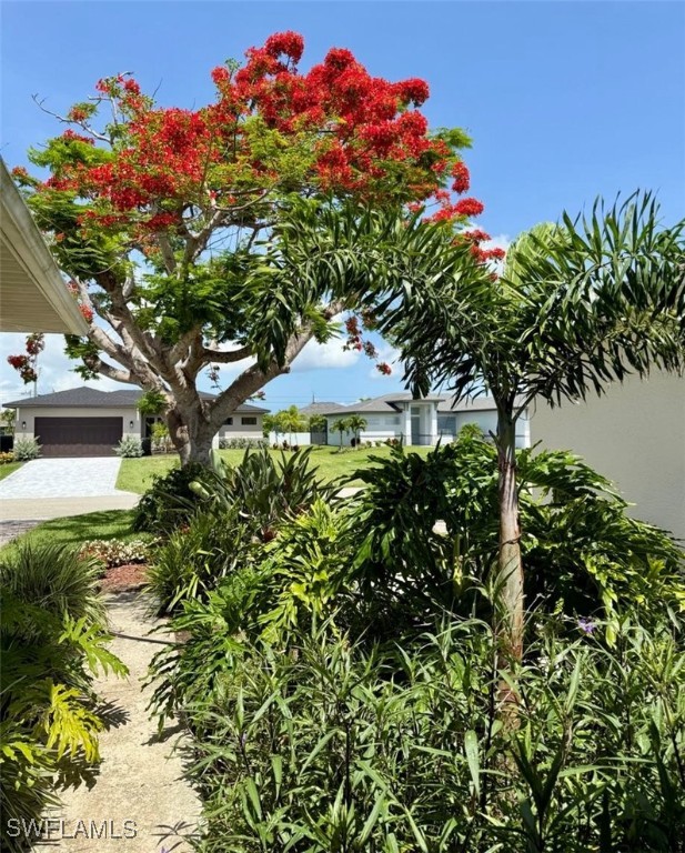 5013 Southwest 16th Place Cape Coral, FL 33914 - Photo 49 of 50 a picture of flowers