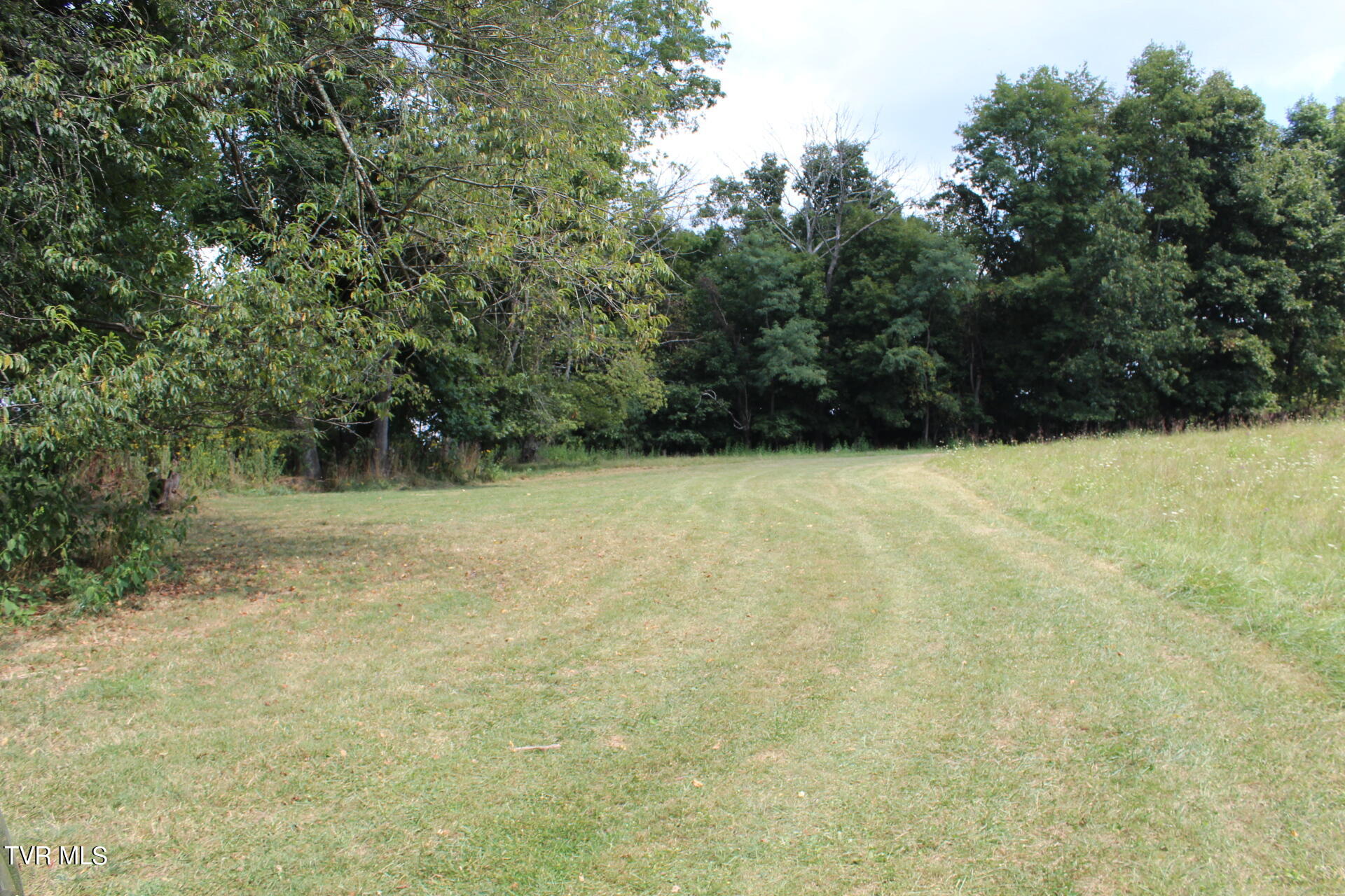 Tbd Chestnut Ridge Road Chilhowie, VA 24319 - Photo 29 of 36 IMG_2292