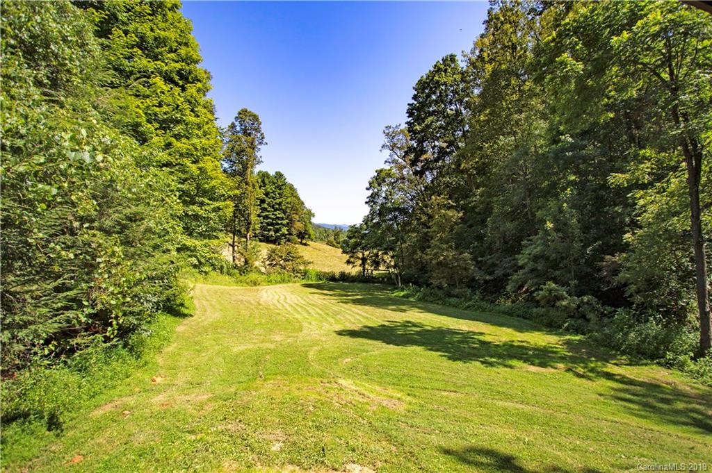 661 Buckner Branch Road Mars Hill, NC 28754 - Photo 3 of 31 Gallery Image 3