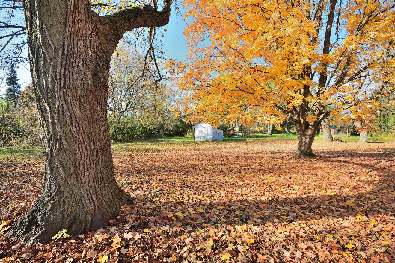 2365 North Calhoun Road Brookfield, WI 53045 - Photo 2 of 33 DSC_0010_1710