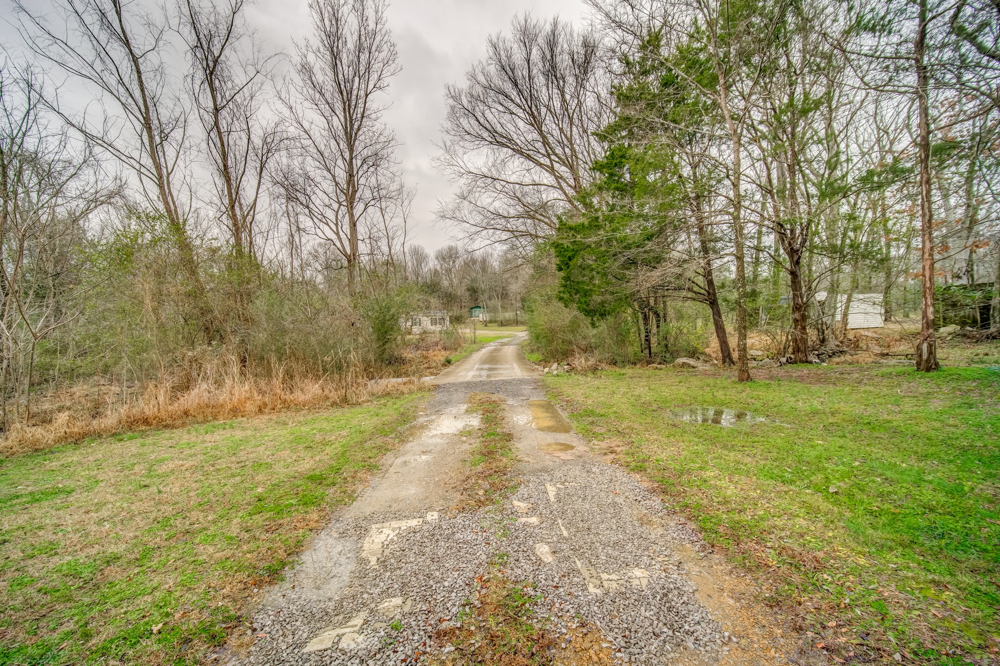 1077 Hamilton Chambers Road Lebanon, TN 37087 - Photo 9 of 29 a view of yard with trees