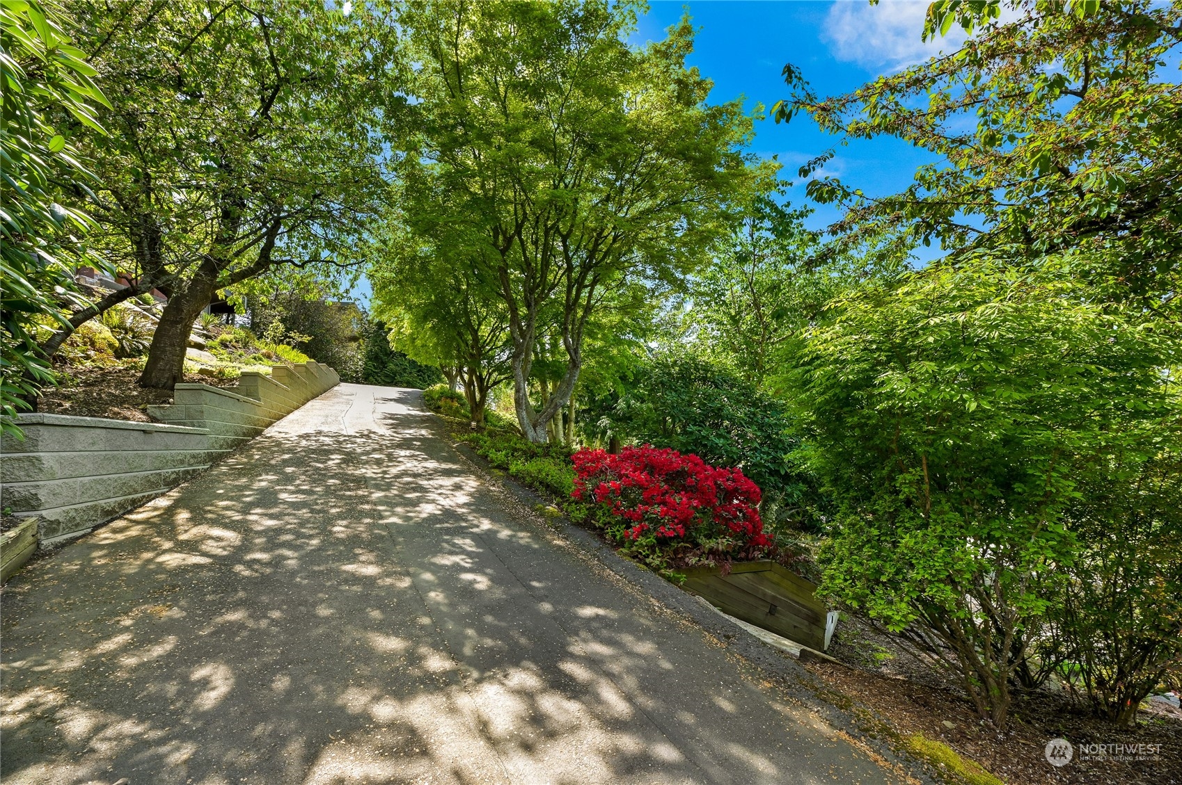 711 Briar Road Bellingham, WA 98225 - Photo 3 of 40 a view of a tree in front of a house