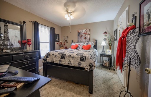 835 Spike Trail Murfreesboro, TN 37129 - Photo 14 of 24 a bedroom with a bed and a tv