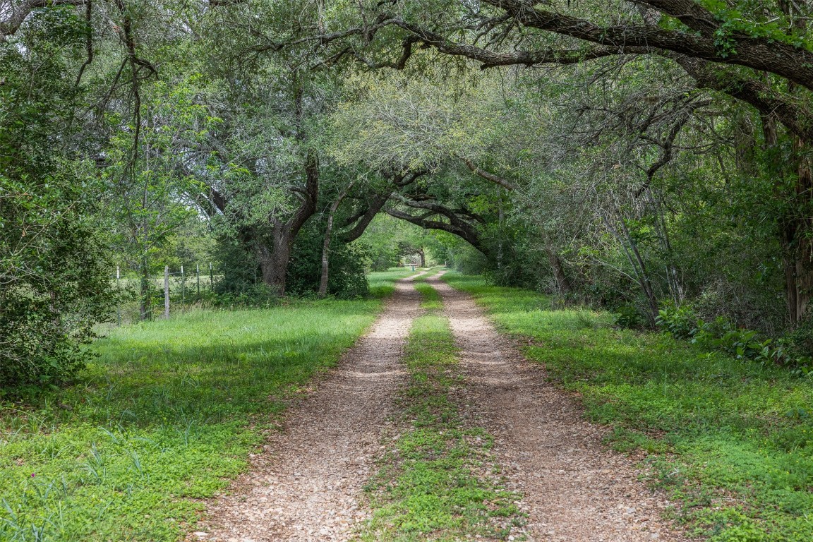 5930 Highway 237 Round Top, TX 78954 - Photo 15 of 34