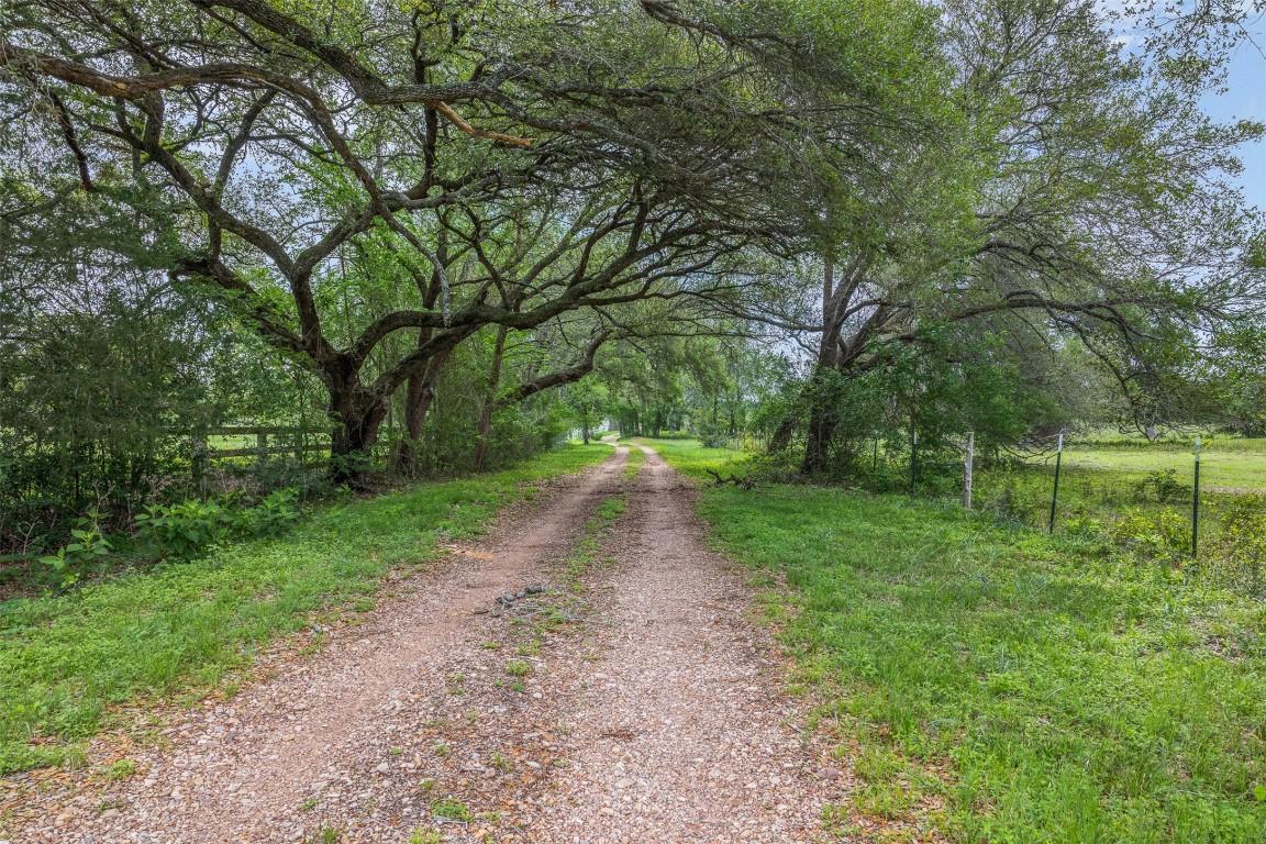 5930 Highway 237 Round Top, TX 78954 - Photo 16 of 34