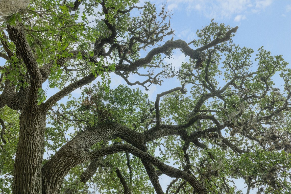 5930 Highway 237 Round Top, TX 78954 - Photo 32 of 34