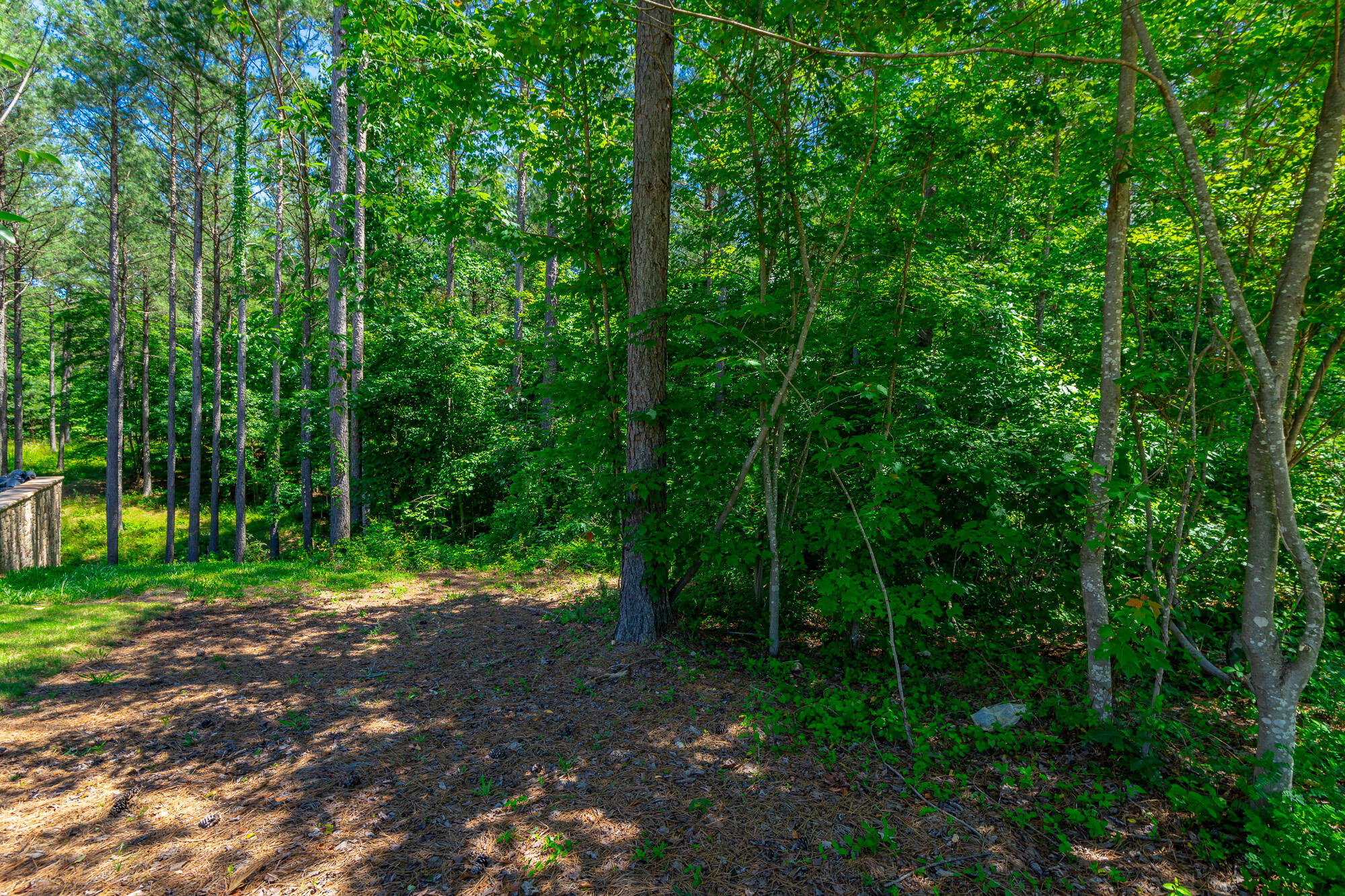0 Split Rail Way, Unit LOT 1121 Guild, TN 37340 - Photo 7 of 103 River Gorge Lot 1121 HD-12