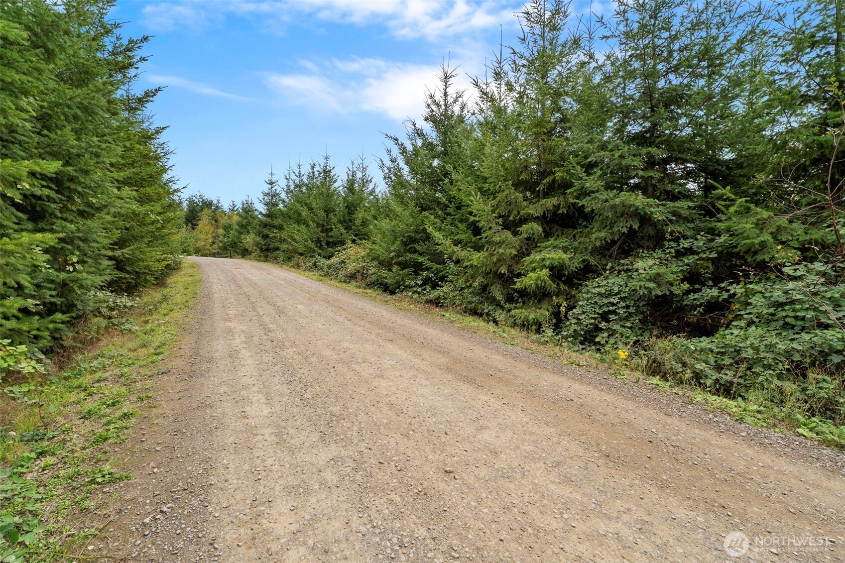 0 Bootjack Lane Kelso, WA 98626 - Photo 11 of 30 Gallery Image 11