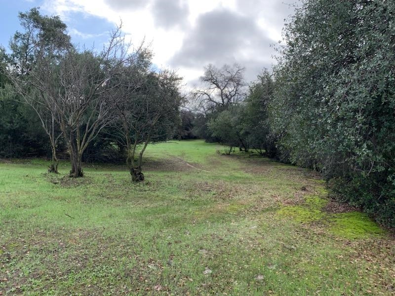 Lot A Walnut Street Red Bluff, CA 96080 - Photo 14 of 19