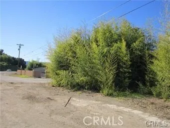 a view of a yard with plants