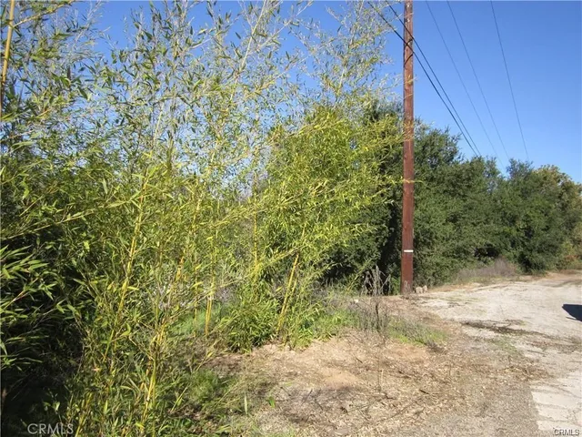 a view of a yard with plants and wooden fence