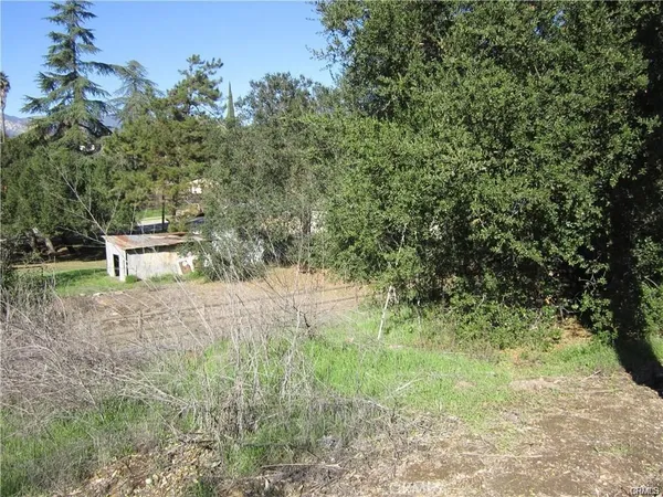 a view of a yard with large trees