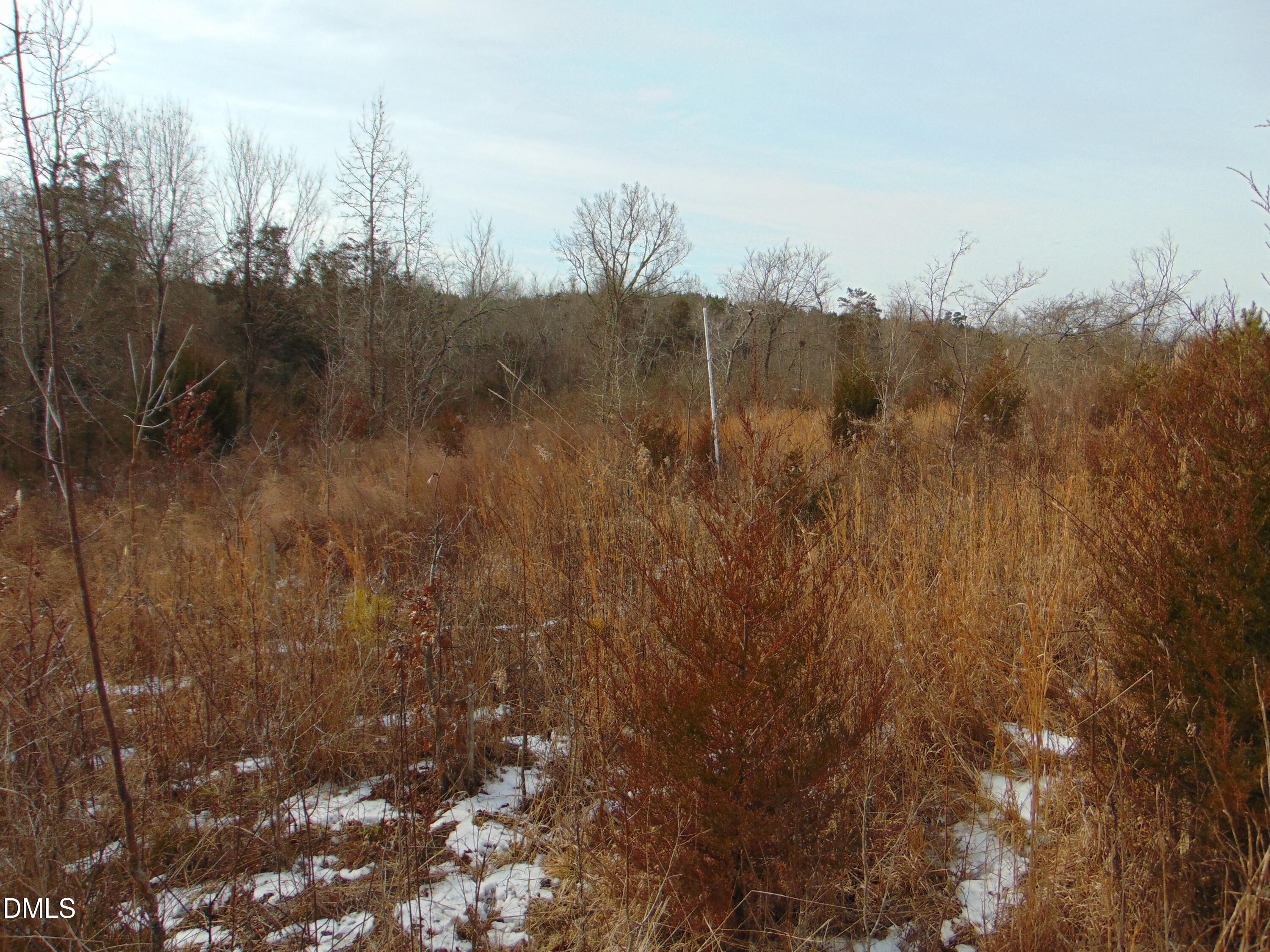 0 Oakley Road Cedar Grove, NC 27231 - Photo 26 of 31 DSC01350