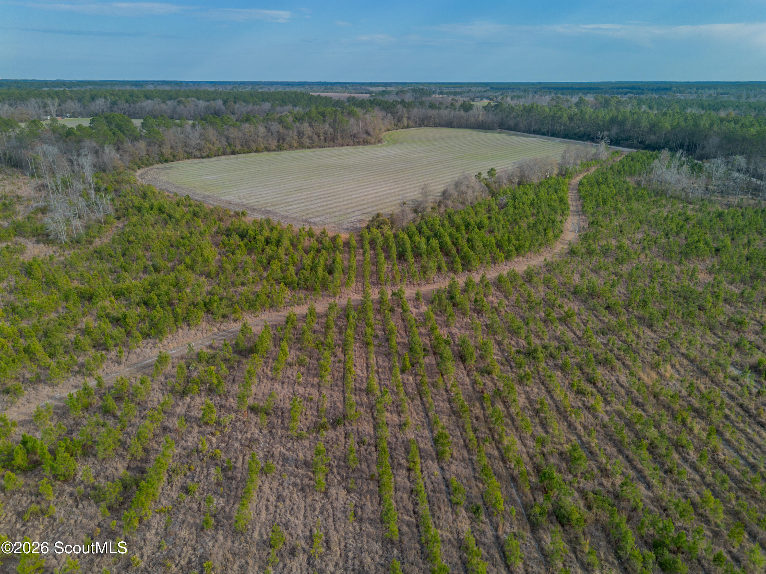 0 Reddish Road Odum, GA 31555 - Photo 25 of 46 230-AC-REDDISH-ODUM-24