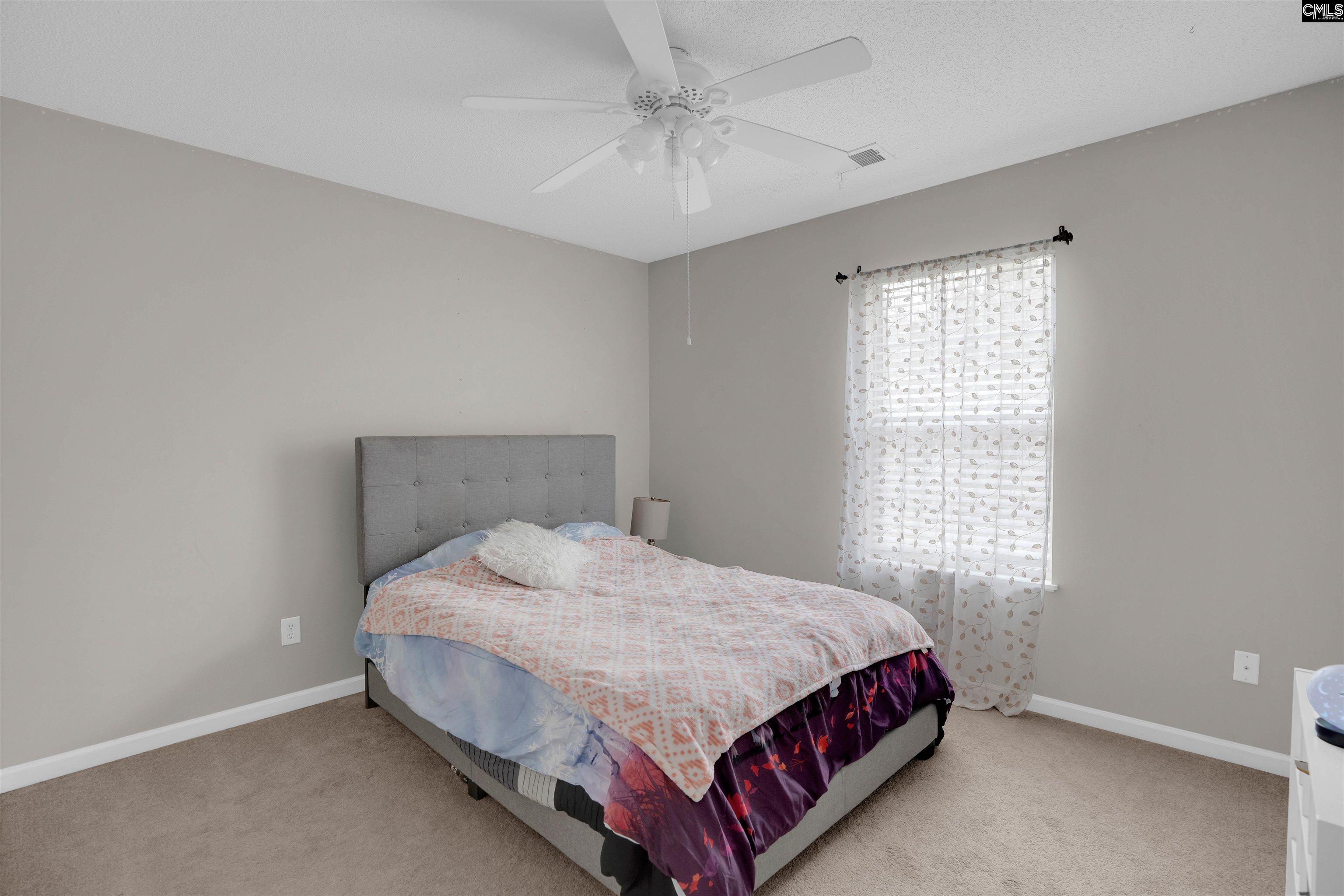 321 Concord Pl Road Irmo, SC 29063 - Photo 23 of 25