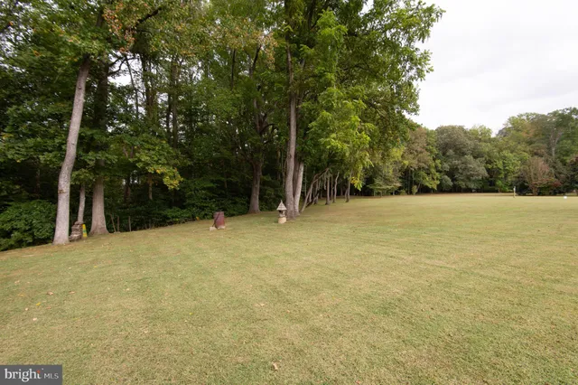 a view of outdoor space and yard