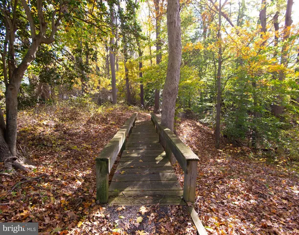 a view of outdoor space and trees