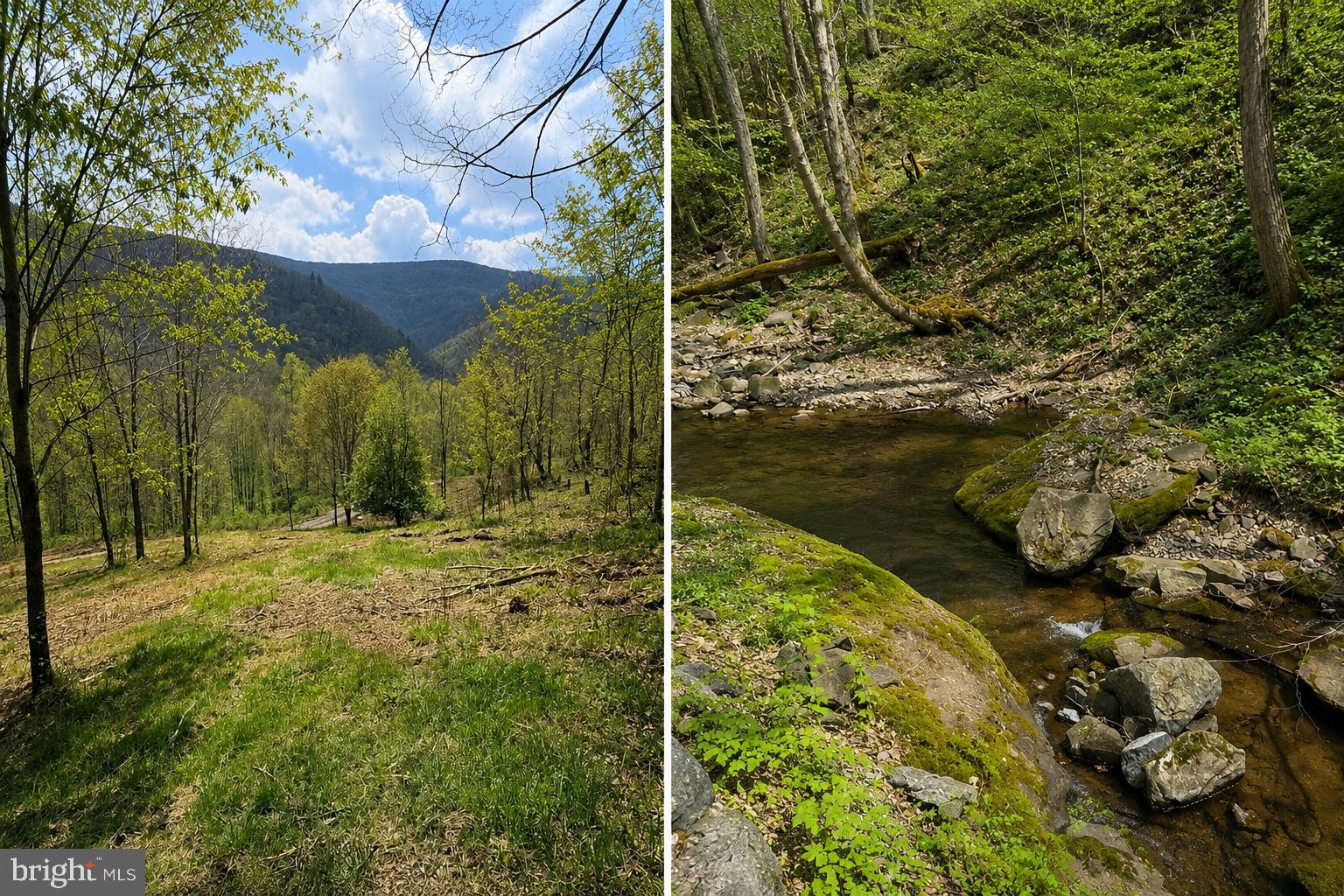 Views/Borders National Forest/Straders Run Access