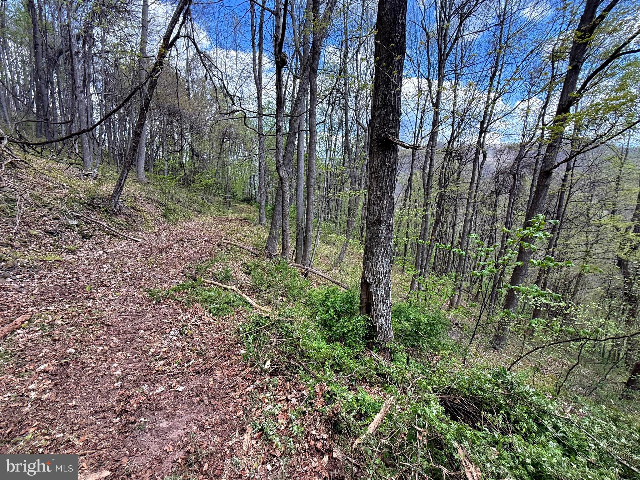 Tract 2-30.82 Acs Tract 2-30.82 Acs Straders Run Road Seneca Rocks, WV 26884 - Photo 11 of 43 Logging Roads throughout the property