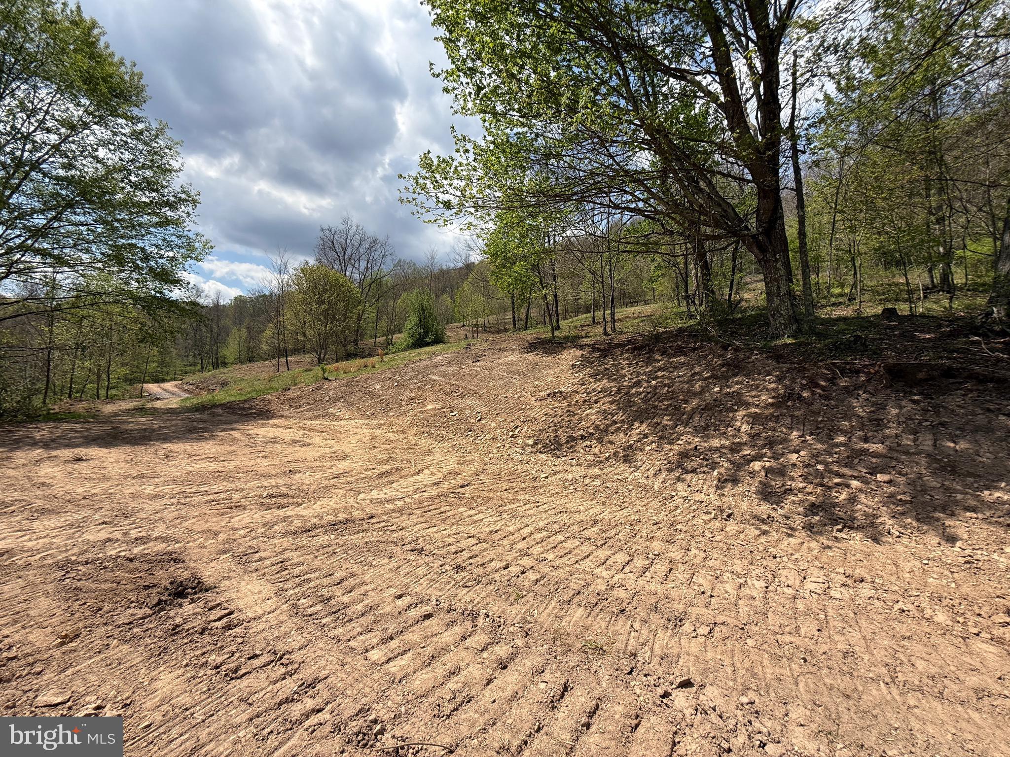 Tract 2-30.82 Acs Tract 2-30.82 Acs Straders Run Road Seneca Rocks, WV 26884 - Photo 15 of 43 Pad for Tent Camping, RV or Off Grid Cabin