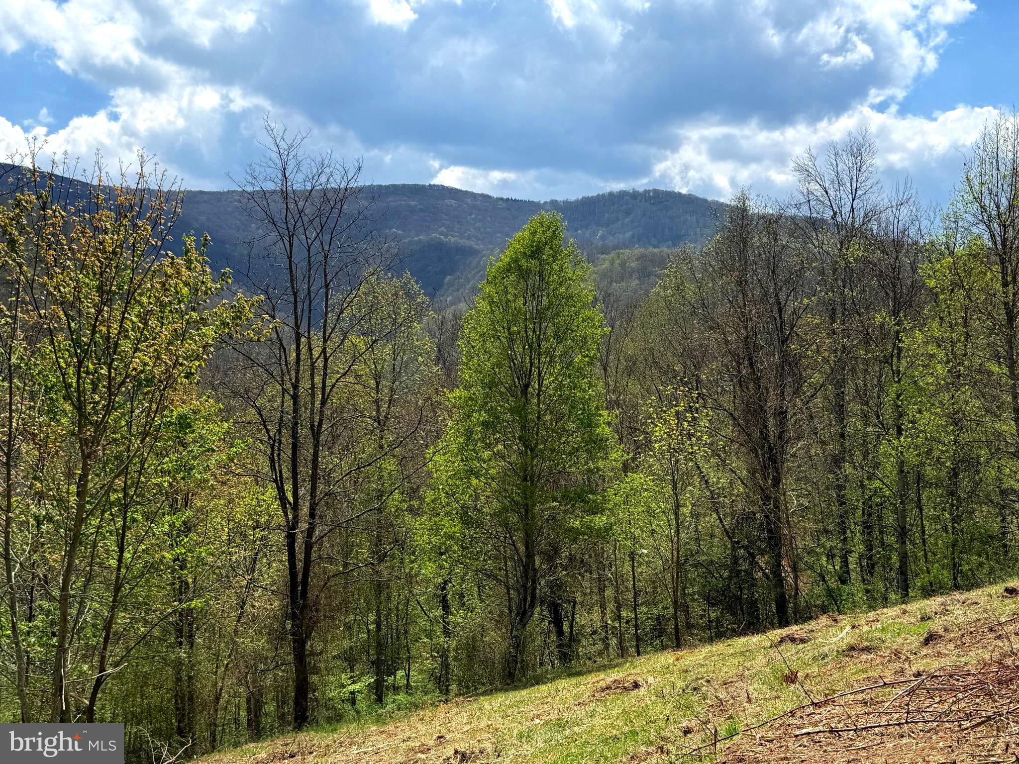 Tract 2-30.82 Acs Tract 2-30.82 Acs Straders Run Road Seneca Rocks, WV 26884 - Photo 17 of 43