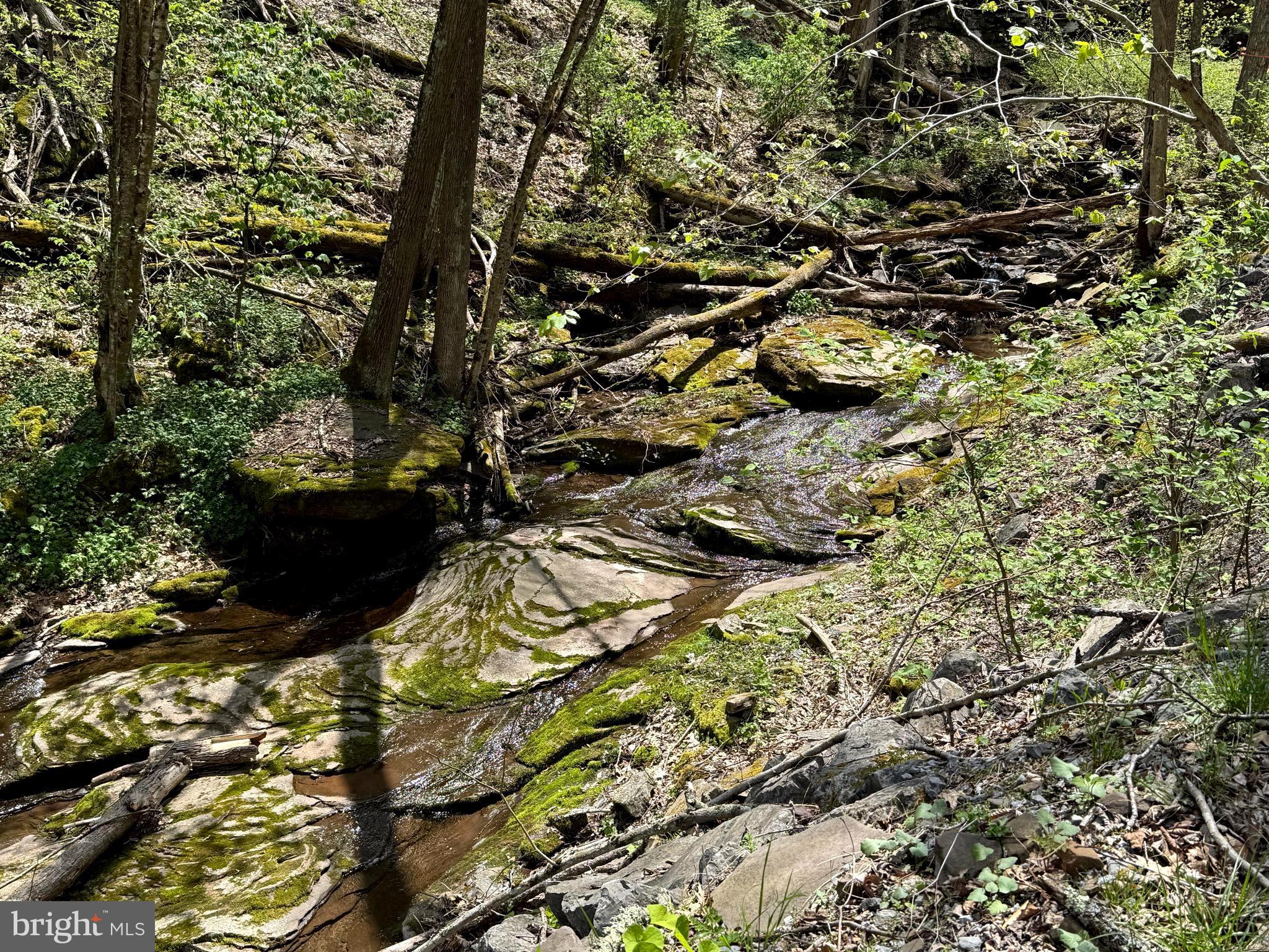 Tract 2-30.82 Acs Tract 2-30.82 Acs Straders Run Road Seneca Rocks, WV 26884 - Photo 18 of 43