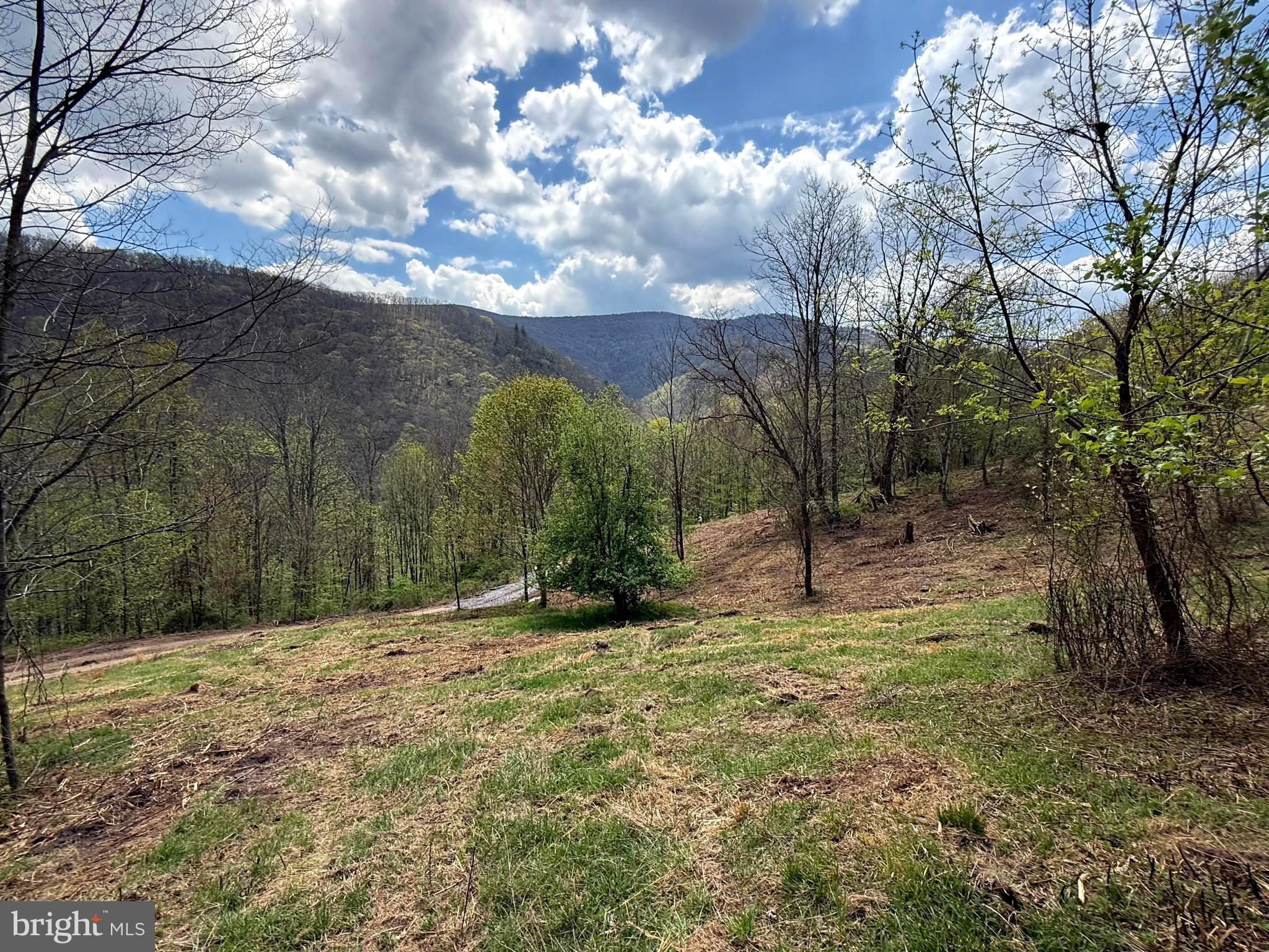 Tract 2-30.82 Acs Tract 2-30.82 Acs Straders Run Road Seneca Rocks, WV 26884 - Photo 2 of 43