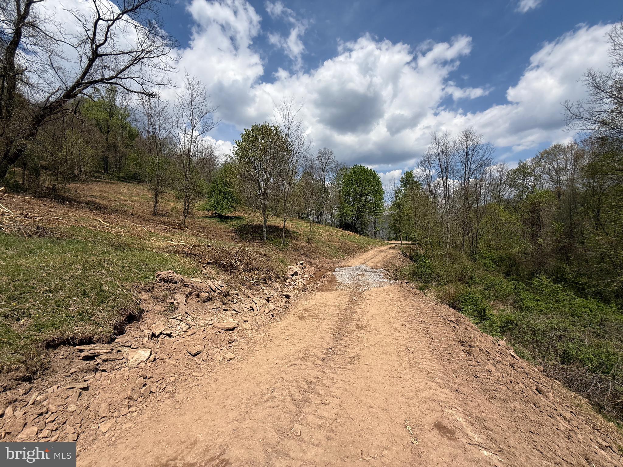 Tract 2-30.82 Acs Tract 2-30.82 Acs Straders Run Road Seneca Rocks, WV 26884 - Photo 21 of 43
