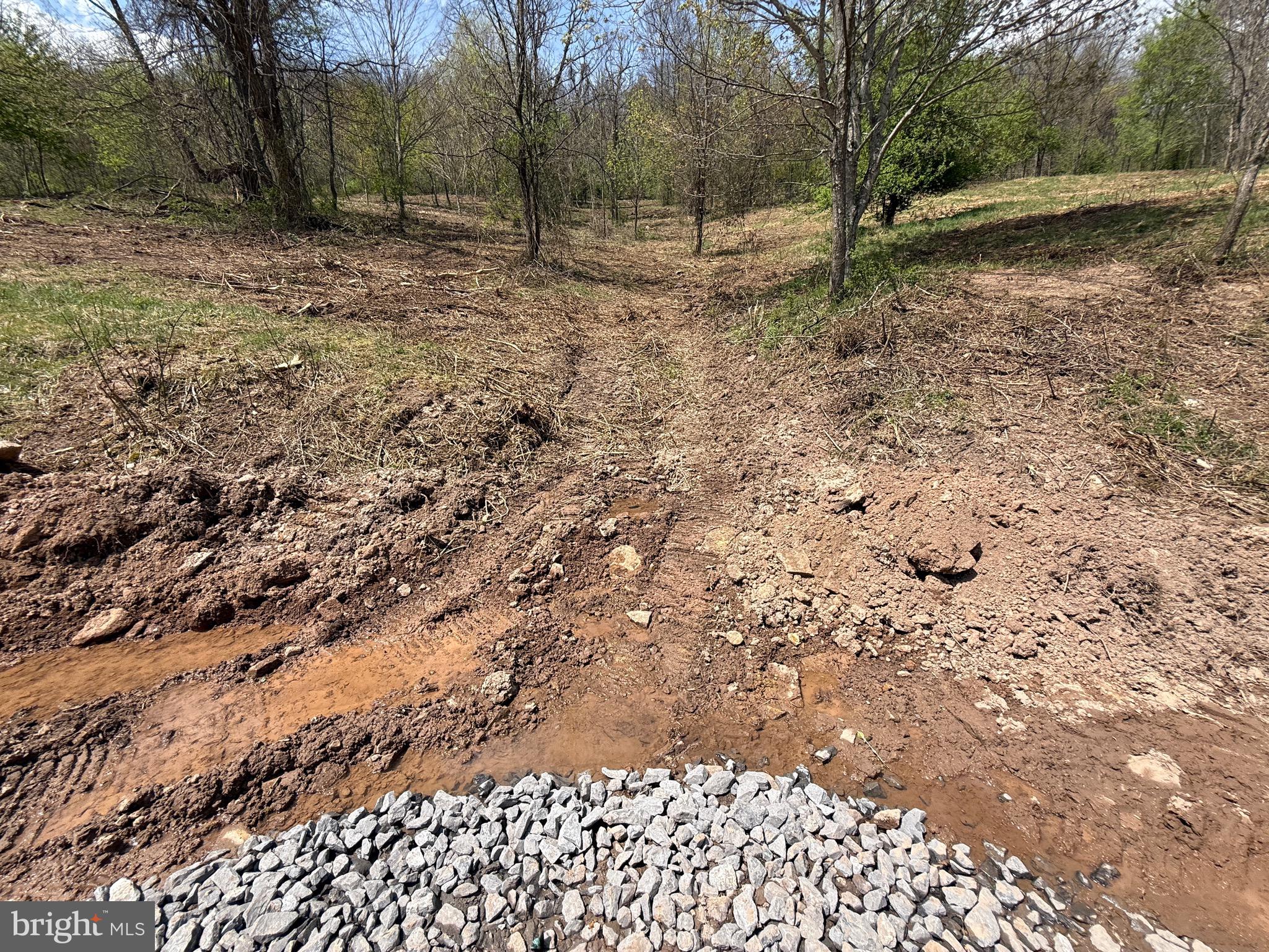 Tract 2-30.82 Acs Tract 2-30.82 Acs Straders Run Road Seneca Rocks, WV 26884 - Photo 23 of 43 Springs on the Property