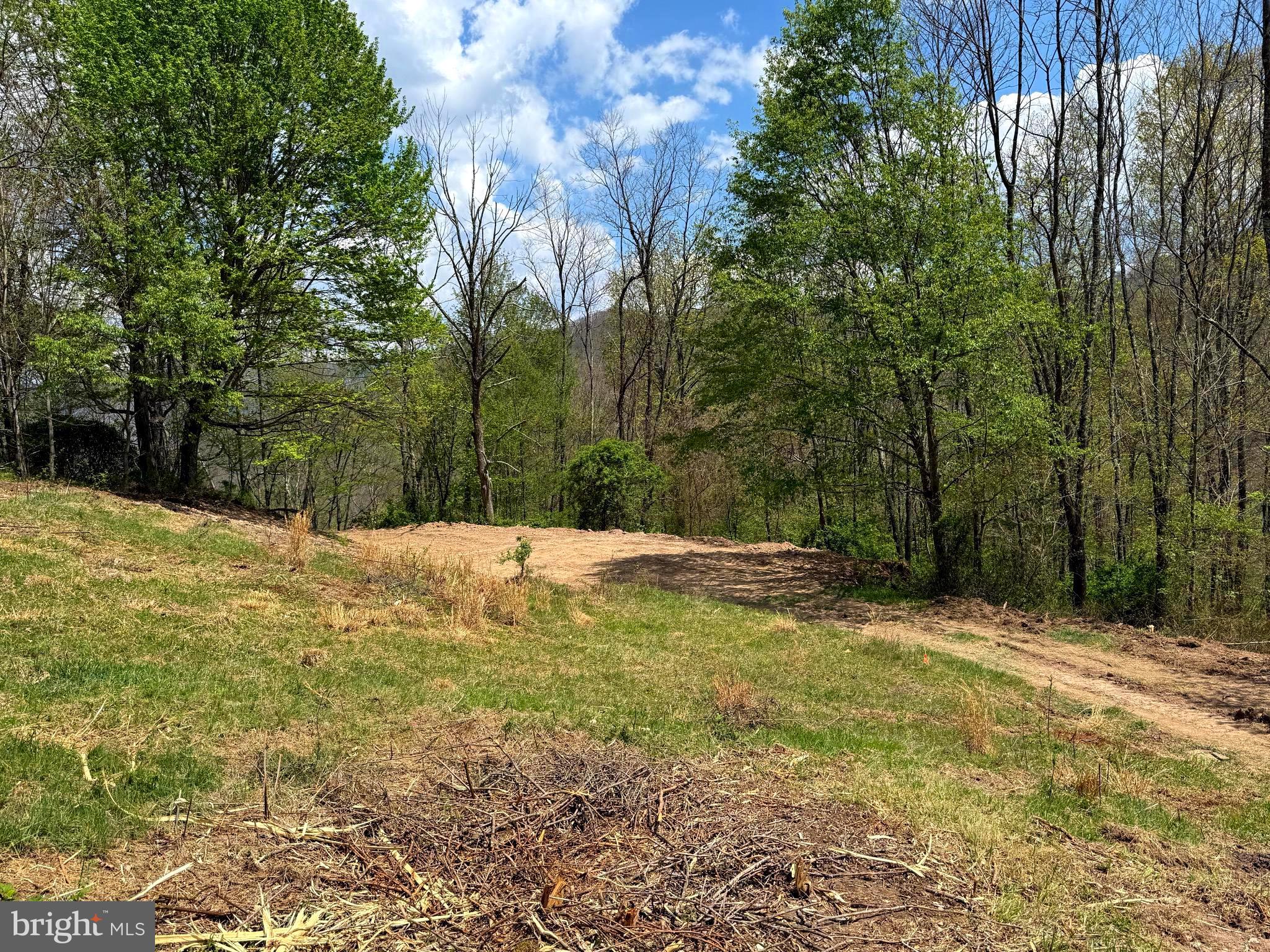 Tract 2-30.82 Acs Tract 2-30.82 Acs Straders Run Road Seneca Rocks, WV 26884 - Photo 26 of 43