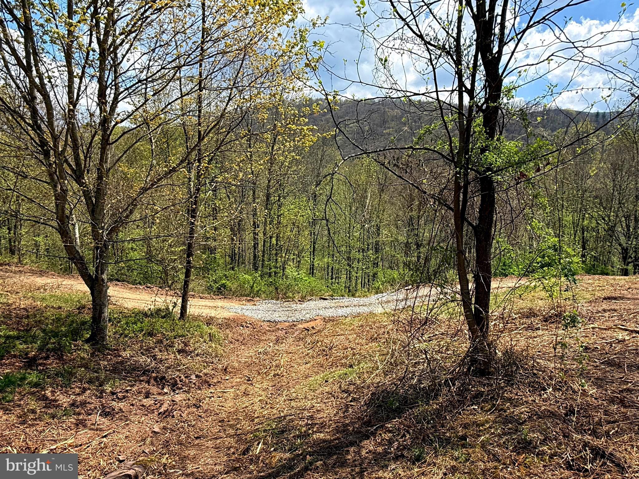 Tract 2-30.82 Acs Tract 2-30.82 Acs Straders Run Road Seneca Rocks, WV 26884 - Photo 27 of 43