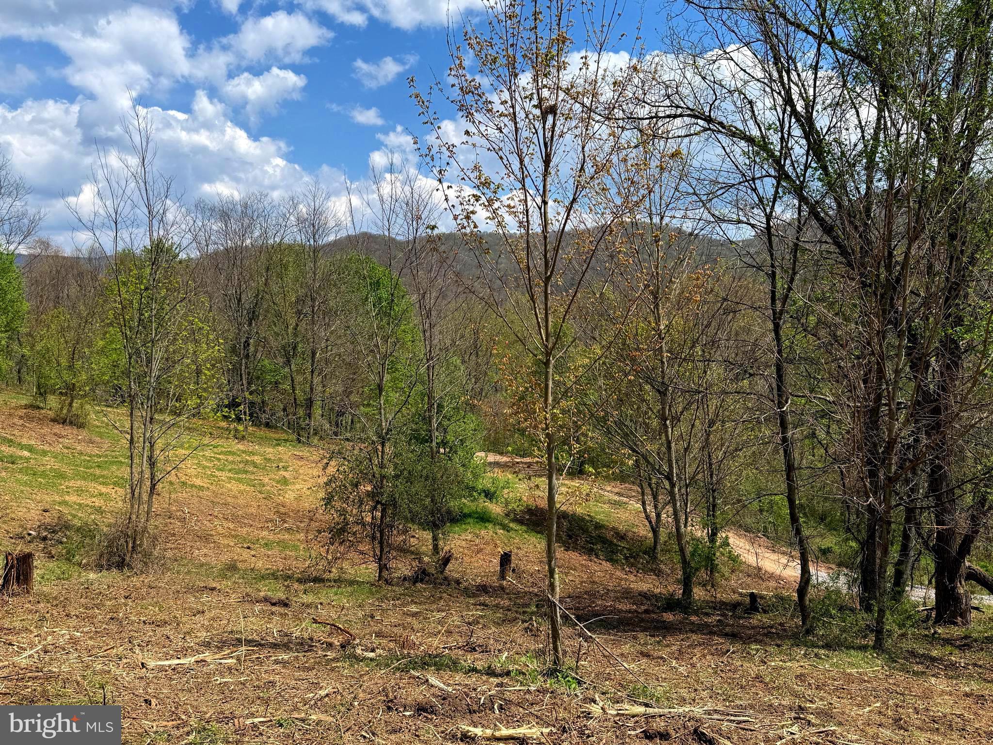 Tract 2-30.82 Acs Tract 2-30.82 Acs Straders Run Road Seneca Rocks, WV 26884 - Photo 28 of 43