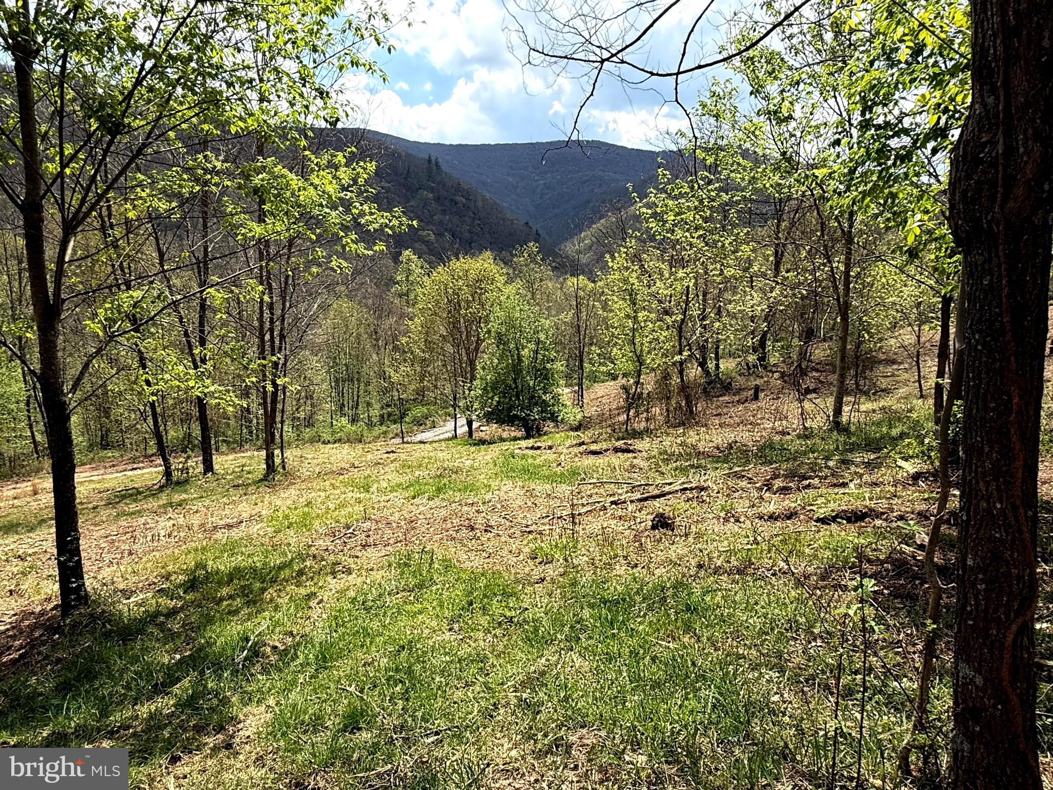 Tract 2-30.82 Acs Tract 2-30.82 Acs Straders Run Road Seneca Rocks, WV 26884 - Photo 30 of 43
