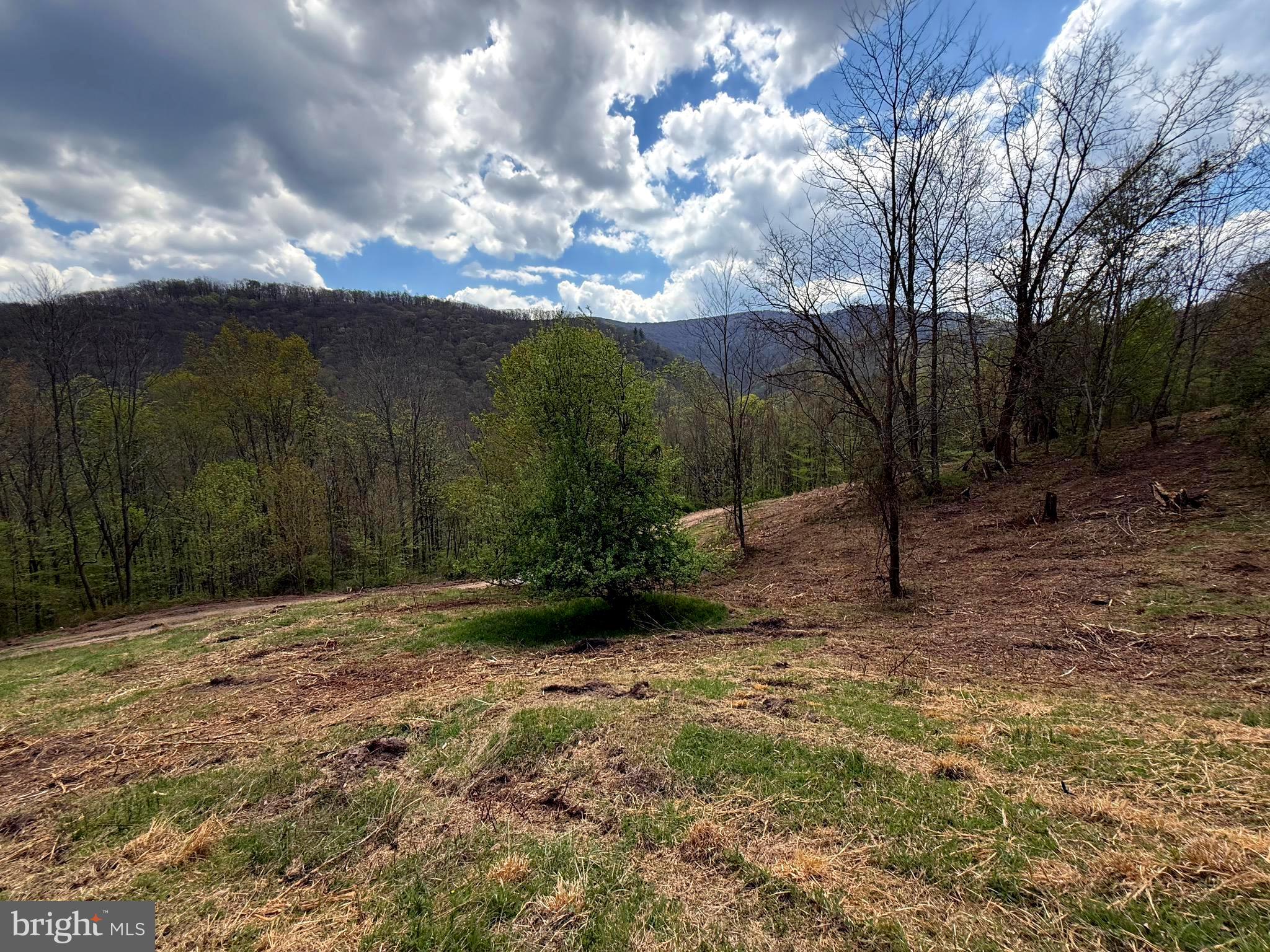 Tract 2-30.82 Acs Tract 2-30.82 Acs Straders Run Road Seneca Rocks, WV 26884 - Photo 34 of 43