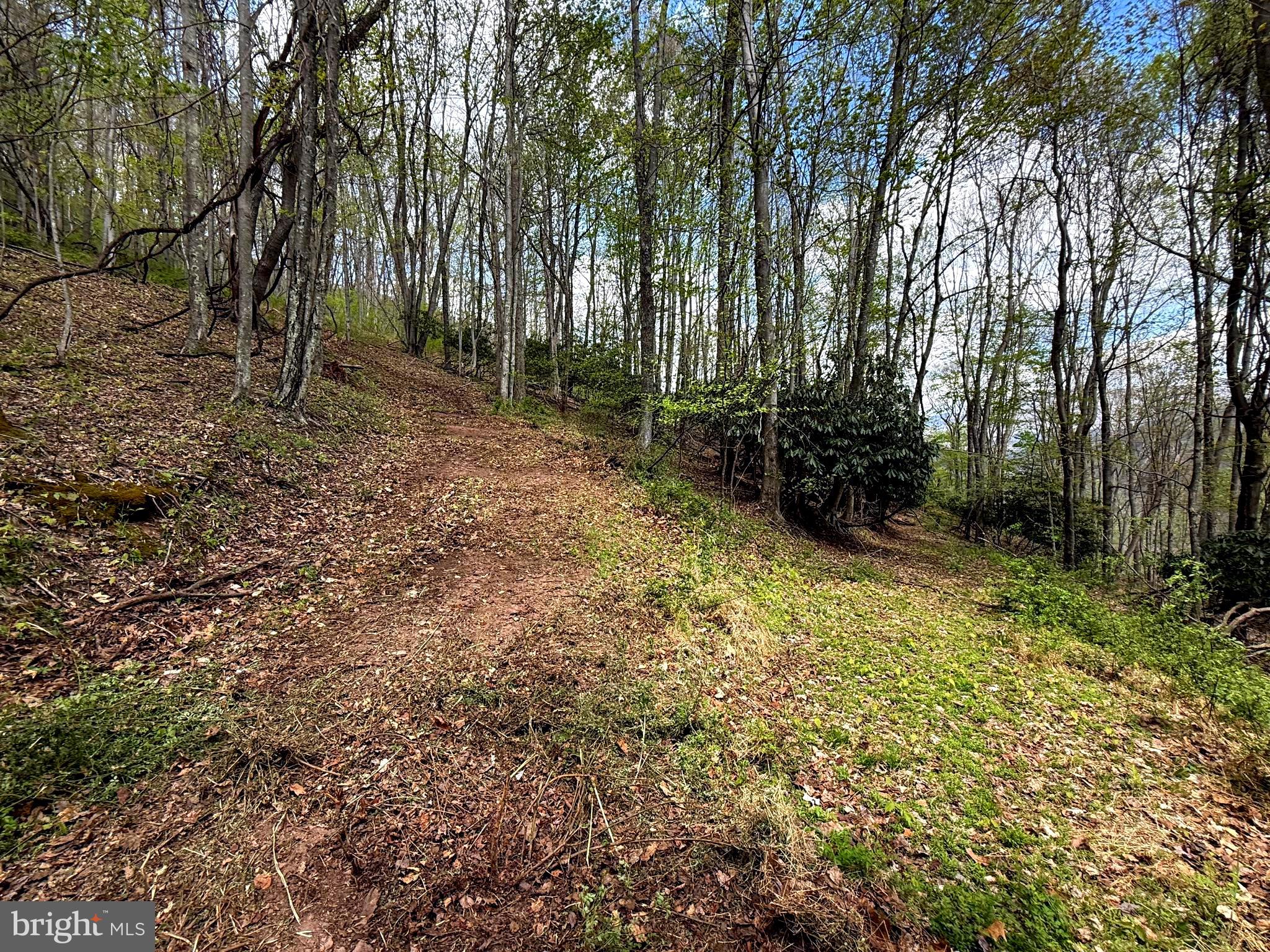 Tract 2-30.82 Acs Tract 2-30.82 Acs Straders Run Road Seneca Rocks, WV 26884 - Photo 37 of 43