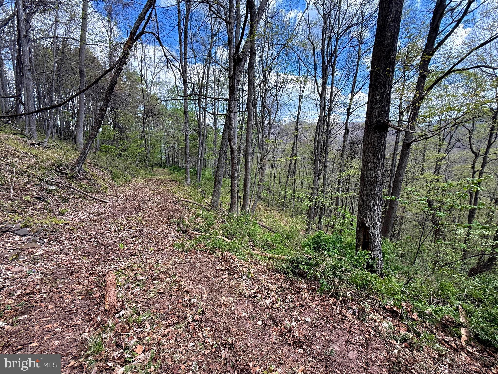 Tract 2-30.82 Acs Tract 2-30.82 Acs Straders Run Road Seneca Rocks, WV 26884 - Photo 39 of 43