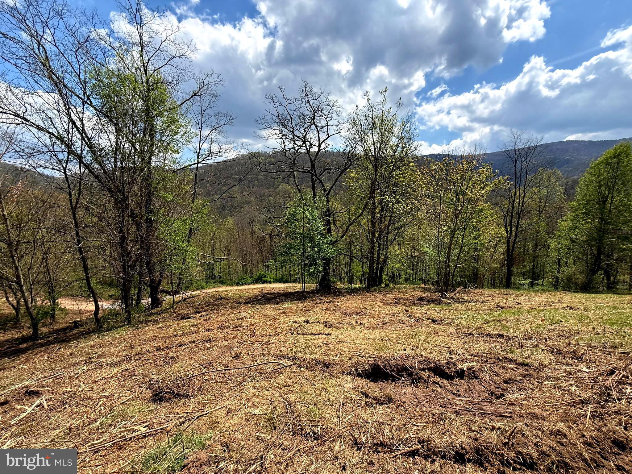 Tract 2-30.82 Acs Tract 2-30.82 Acs Straders Run Road Seneca Rocks, WV 26884 - Photo 4 of 43