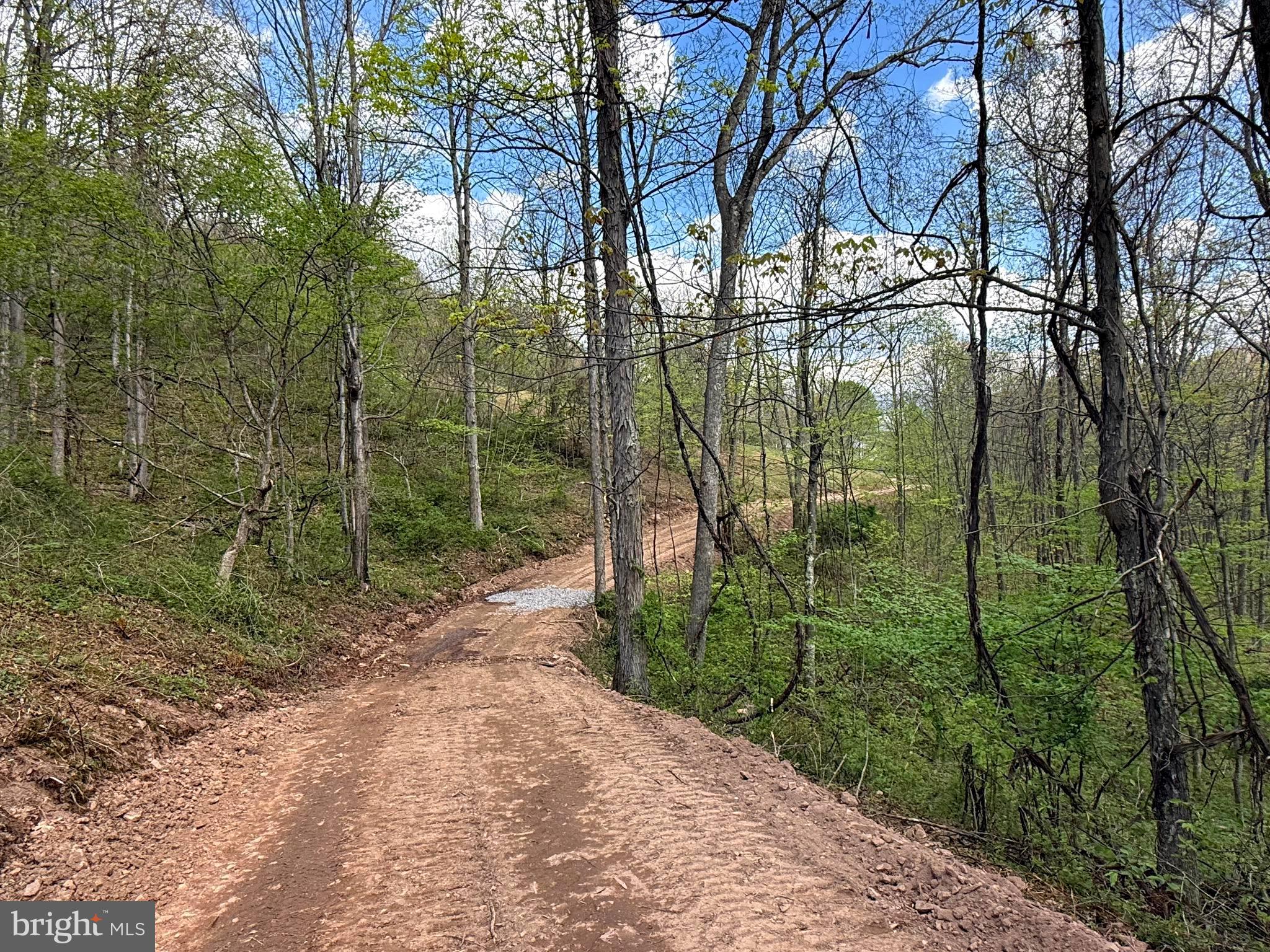 Tract 2-30.82 Acs Tract 2-30.82 Acs Straders Run Road Seneca Rocks, WV 26884 - Photo 41 of 43